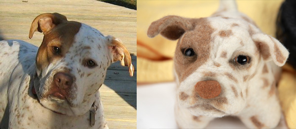 help shelter dogs