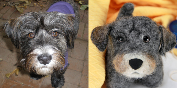 shelter pups3