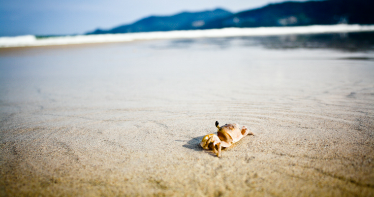 travel beach